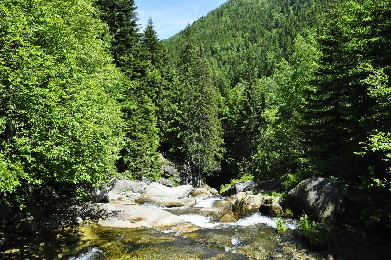 Cabana Cascada Carnic Nucsoara  Εξωτερικό φωτογραφία
