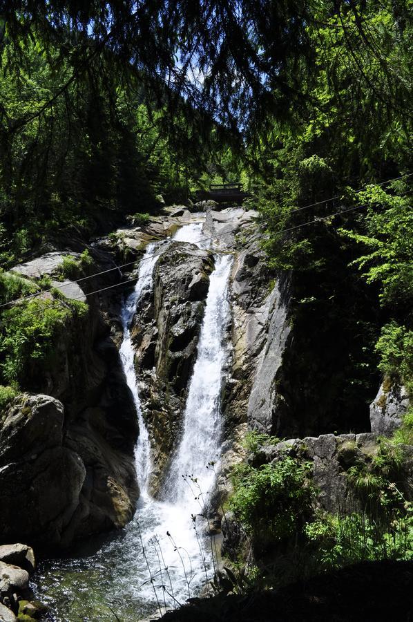 Cabana Cascada Carnic Nucsoara  Εξωτερικό φωτογραφία